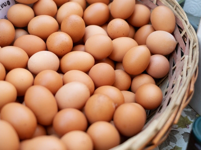 Berapa Butir Telur yang Aman Dikonsumsi Setiap Hari? Ini Penjelasannya
